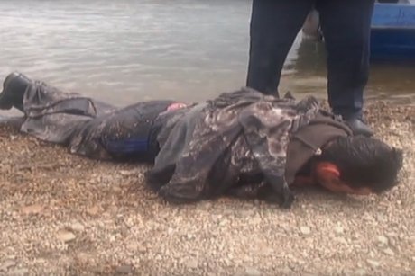 Скриншот видео