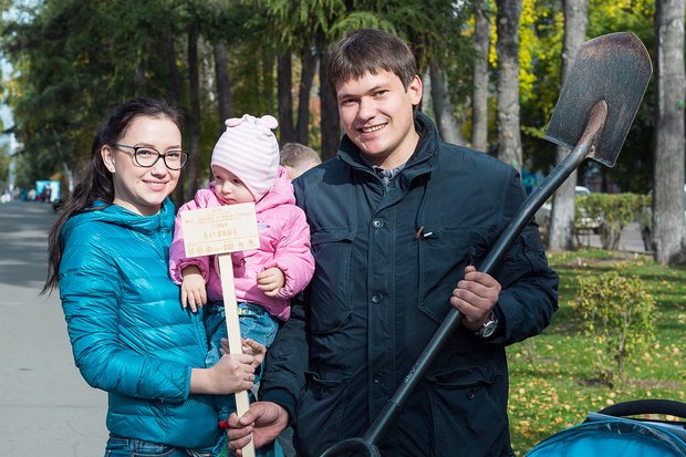 Что сажать рядом с дубом Что сажать рядом с дубом