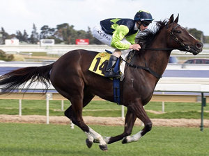 В Новоузенске пройдут конно-спортивные соревнования по случаю 180-летия города