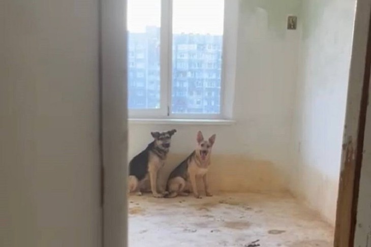 Фото пресс-службы ГУФССП России по Иркутской области