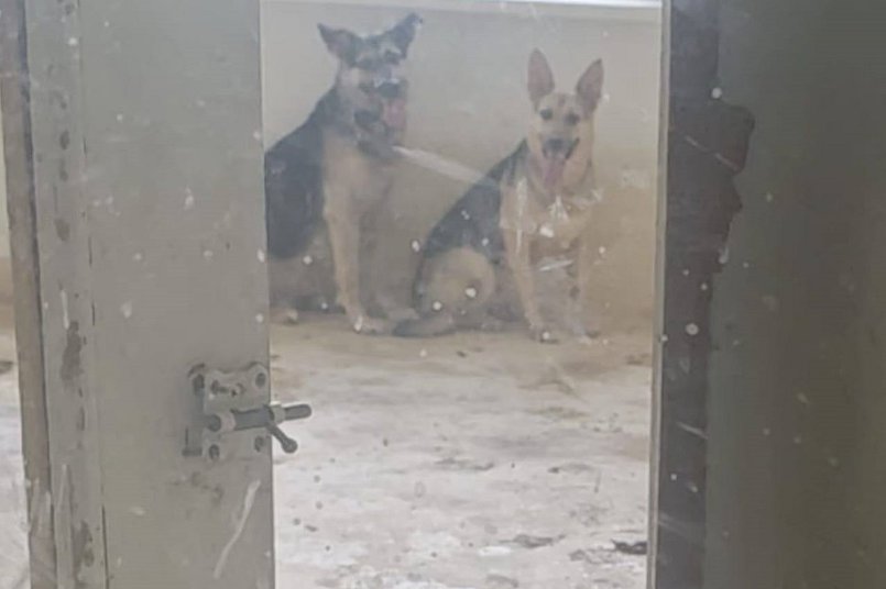 Фото пресс-службы ГУФССП России по Иркутской области