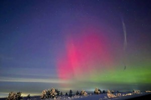 Полярное сияние на Александровском тракте. Фото Анастастии Бозиевой