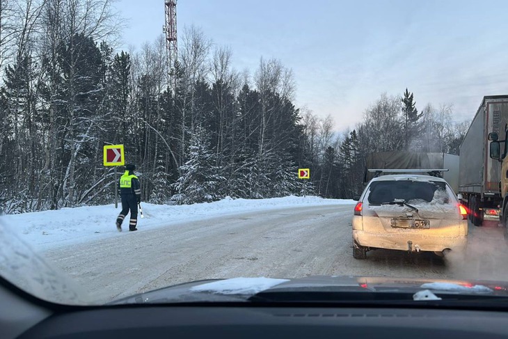 Дорожное движение регулируют сотрудники ДПС. Фото очевидца