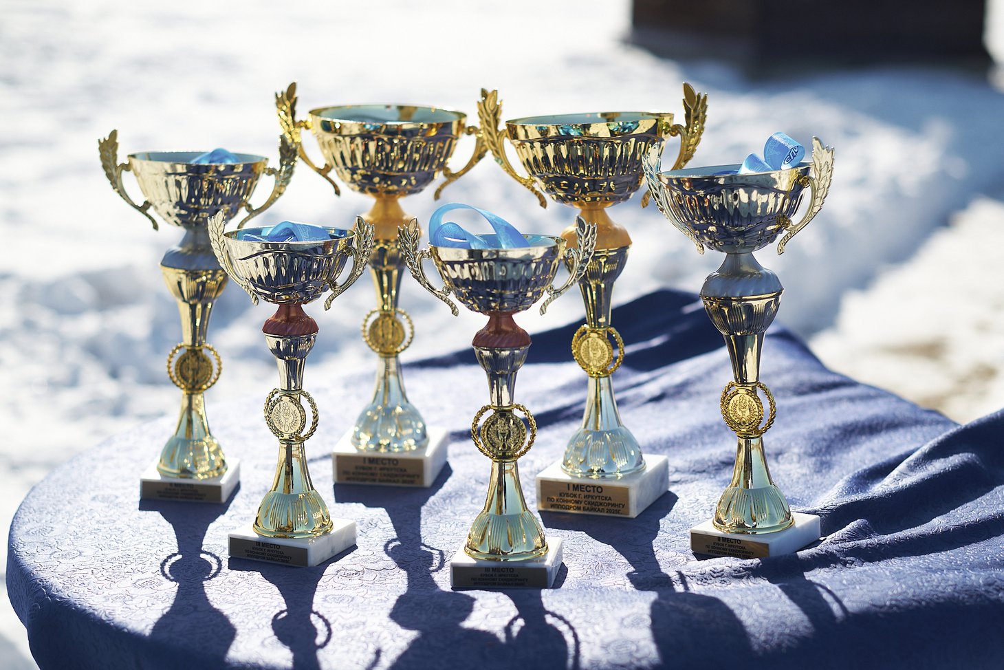 Кубки для победителей. Фото Маргариты Романовой, IRK.ru