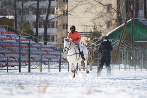 Соревнования по скиджорингу. Фото Маргариты Романовой, IRK.ru