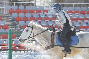 Соревнования по скиджорингу. Фото Маргариты Романовой, IRK.ru