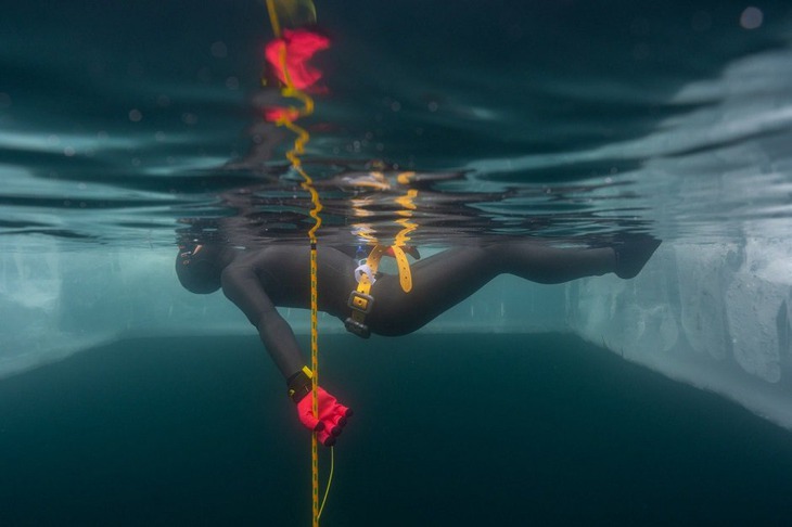 Фото Александра Акивиса