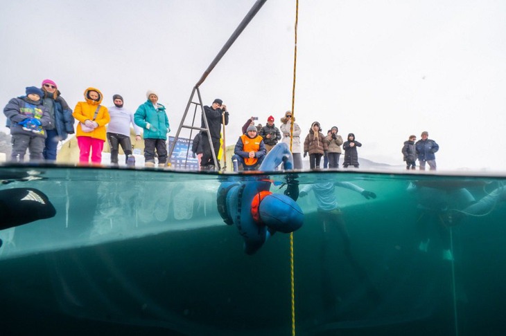 Фото Александра Акивиса