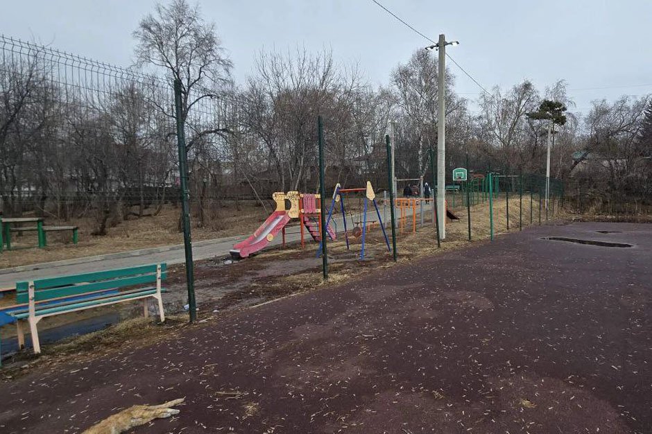 Фото из телеграм-канала депутата Алексея Распутина
