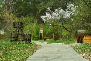 Ботанический сад. Фото Маргариты Романовой, IRK.ru