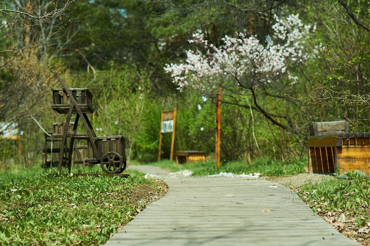Ботанический сад. Фото Маргариты Романовой, IRK.ru