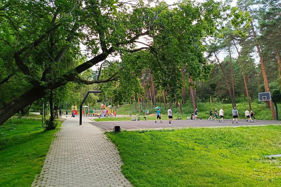 Роща «Звездочка». Фото с сайта Яндекс Карты