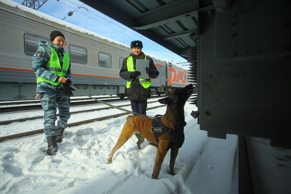 Транспортные полицейские с бельгийской овчаркой Вендеттой. Фото пресс-службы транспортной полиции Прибайкалья