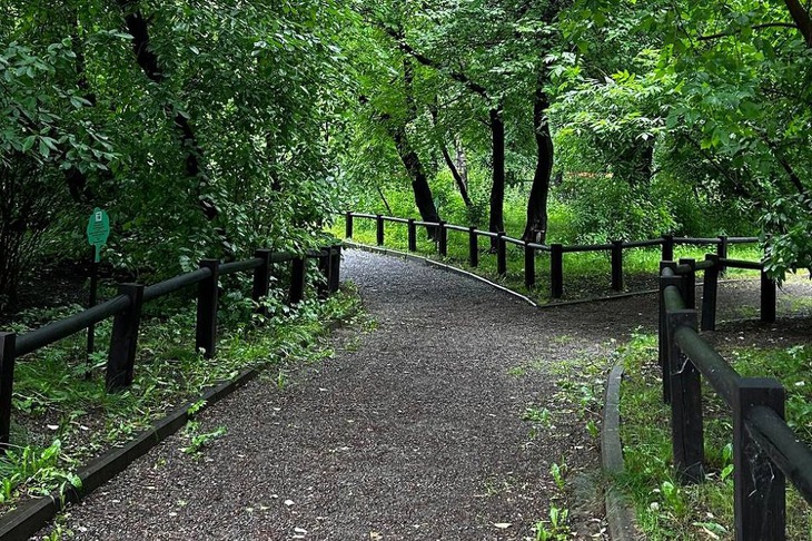 Усадьба В. П. Сукачева. Фото с сайта http://www.2gis.ru*