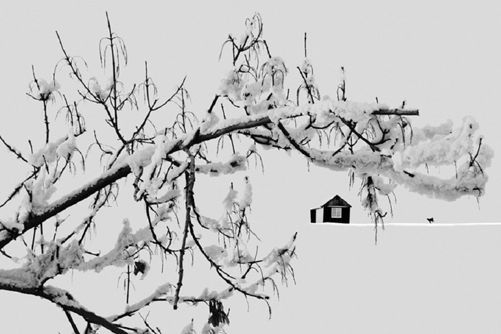 «Уют». Автор фото: Варвара Штерн