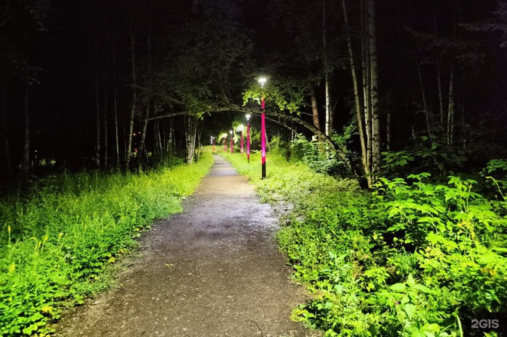 Дендропарк в Академгородке. Фото с сайта http://www.2gis.ru*