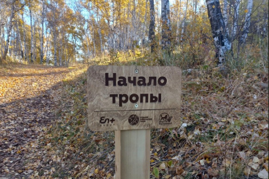 ЭкоТропы в Ершовском лесу. Фото с сайта http://www.2gis.ru*