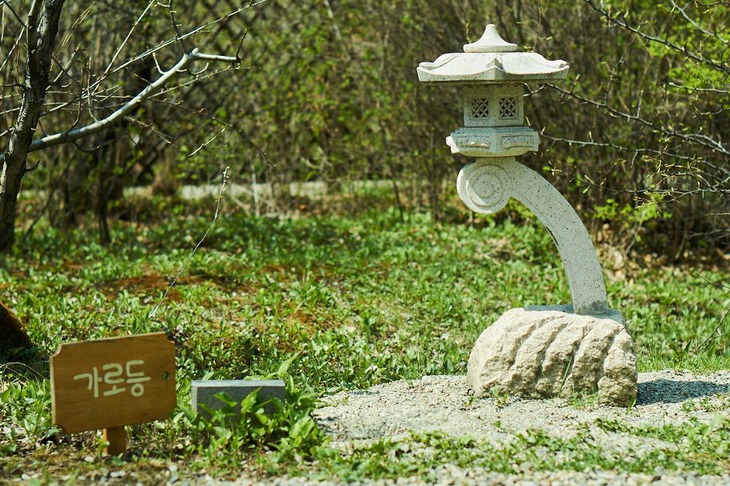 Ботанический сад. Фото Маргариты Романовой, IRK.ru