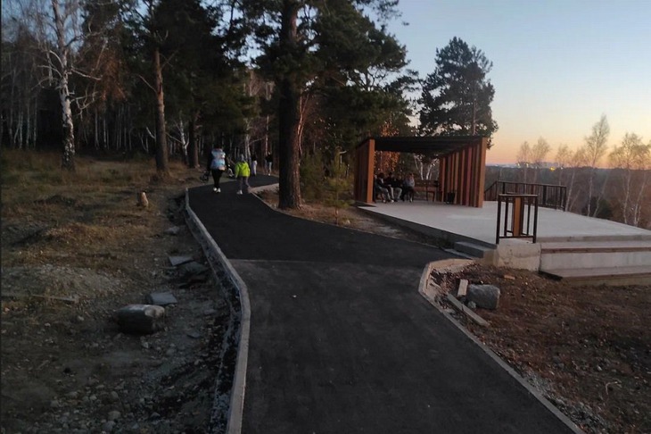 Роща на Синюшиной горе. Фото с сайта Яндекс Карты