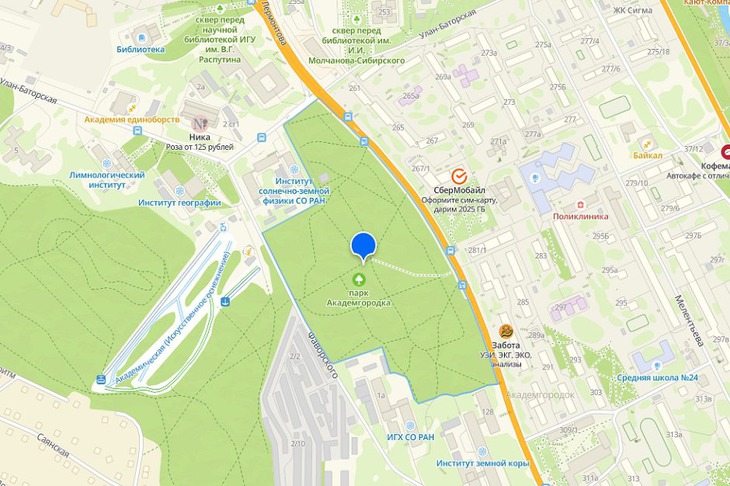 Дендропарк в Академгородке. Скриншот с сайта http://www.2gis.ru*