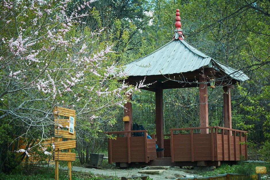 Ботанический сад. Фото Маргариты Романовой, IRK.ru