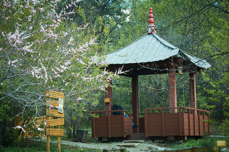 Ботанический сад. Фото Маргариты Романовой, IRK.ru