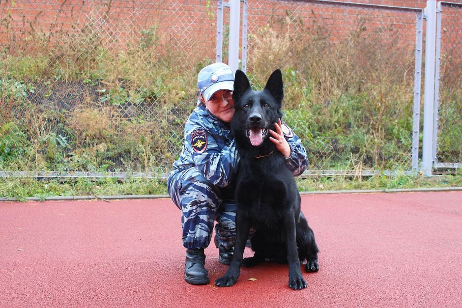 Кинолог Наталья Толстых с овчаркой Цыганом. Фото из личного архива Натальи Толстых