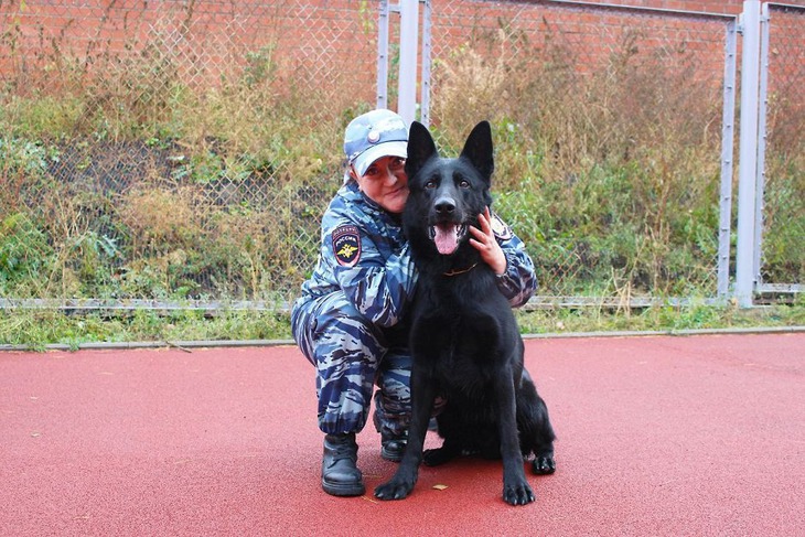 Кинолог Наталья Толстых с овчаркой Цыганом. Фото из личного архива Натальи Толстых