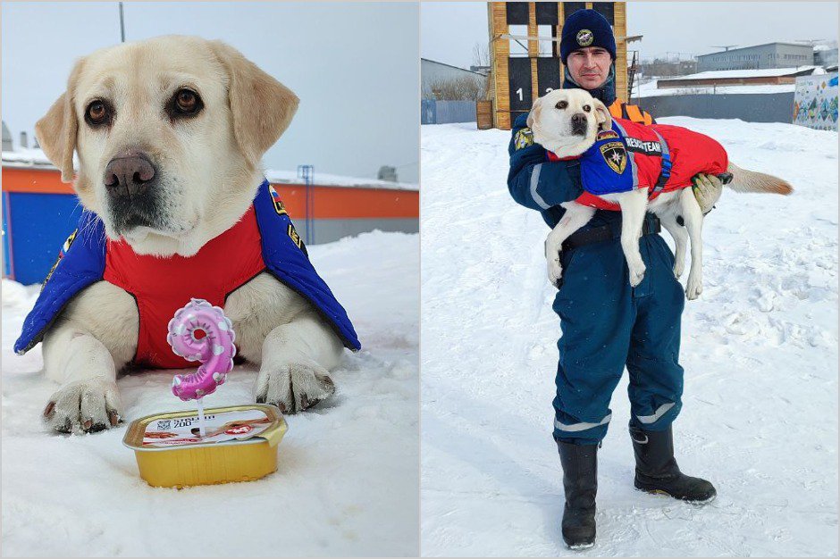 Лабрадор-ретривер Ирэль и кинолог Иван Харченко. Фото пресс-службы ГУ МЧС России по Иркутской области
