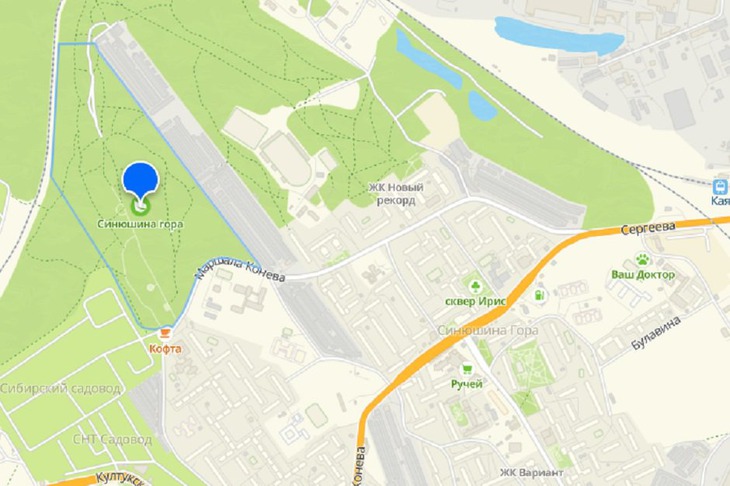 Роща на Синюшиной горе. Скриншот с сайта Яндекс Карты