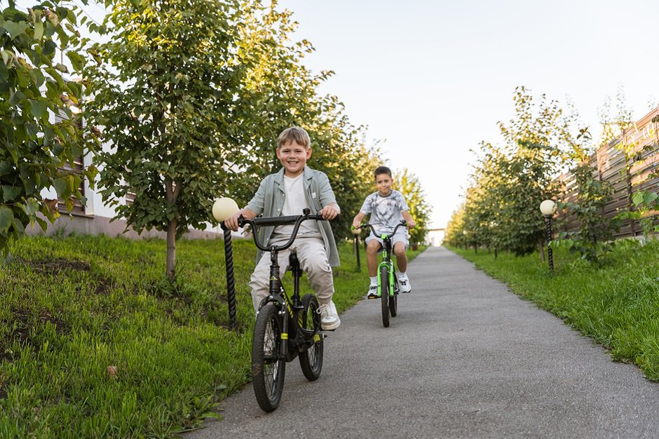 Территория двора-парка