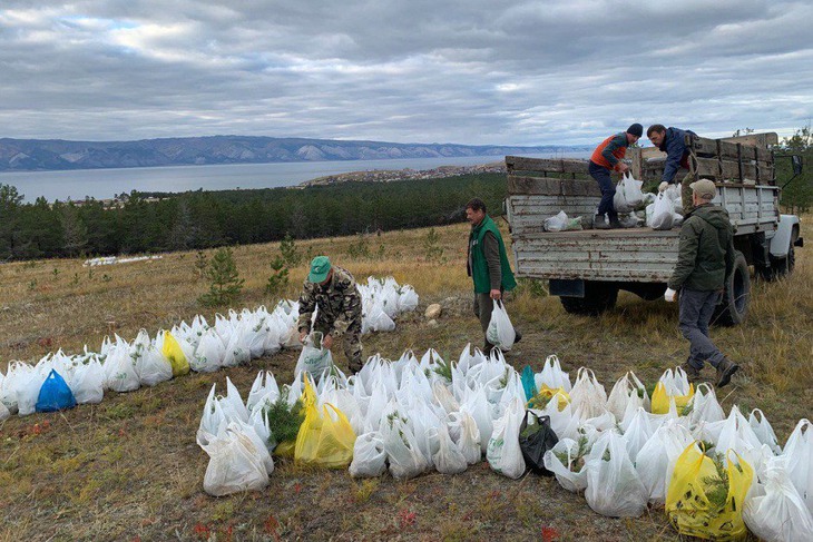 Международный добровольческий форум. Фото предоставлено организаторами