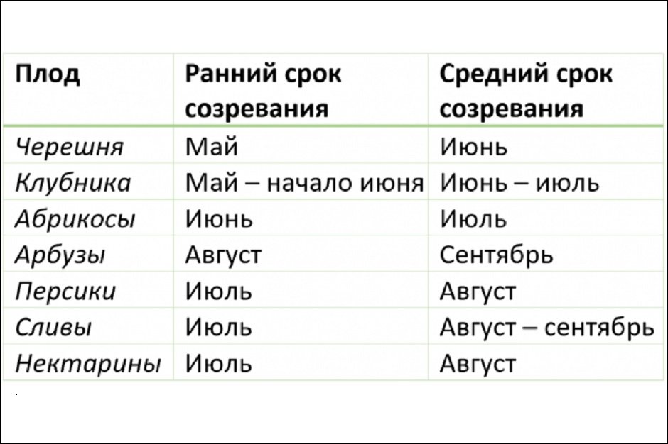 Таблица оптимального созревания сезонных ягод и фруктов. Изображение новостного портала Om1.ru