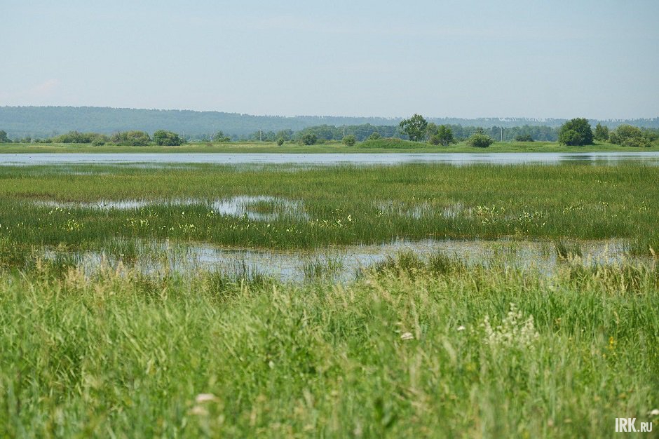Искусственный пруд для содержания молоди