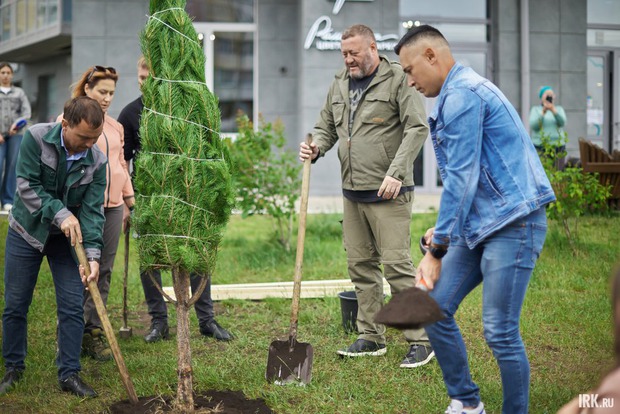 Высадка деревьев. Фото Маргариты Романовой, IRK.ru