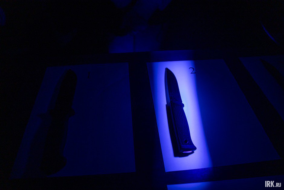 Исследование проводилось с помощью ультрафиолета. Фото Алексея Литвинцева