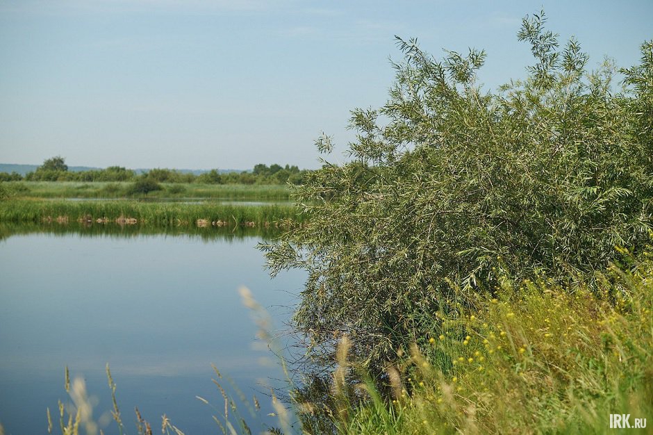 Водоемы готовят заранее. Рыбки живут в них несколько недель