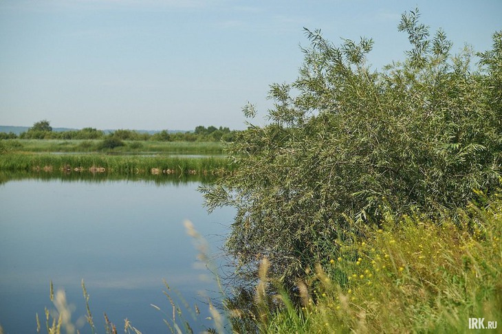 Водоемы готовят заранее. Рыбки живут в них несколько недель
