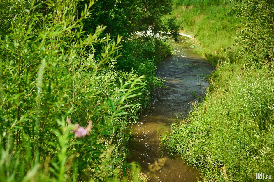 Канал, по которому мальки вместе с водой уходят в реку Белую