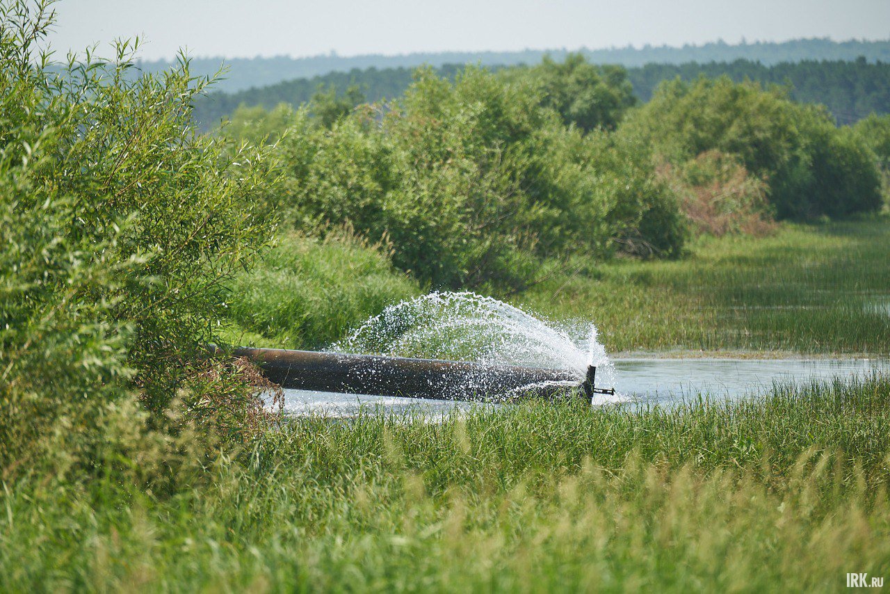В искусственные пруды постоянно подается вода из реки Белой