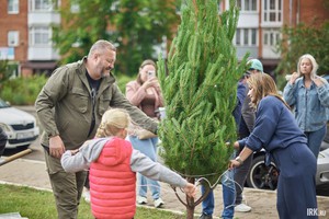 Озеленение территории. Фото Маргариты Романовой, IRK.ru