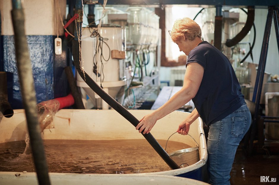 За состоянием малышей следят специалисты