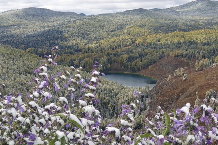 Путешествие по Алтаю