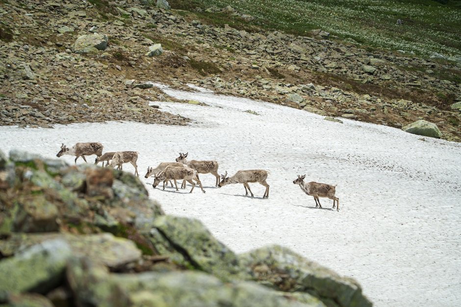 Фото фонда «Озеро Байкал»