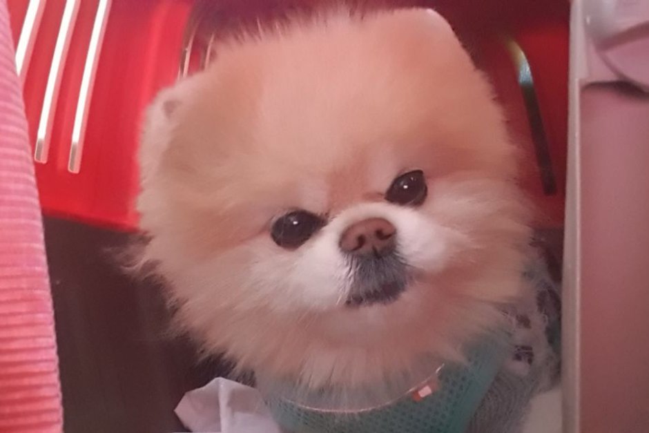 Дарий