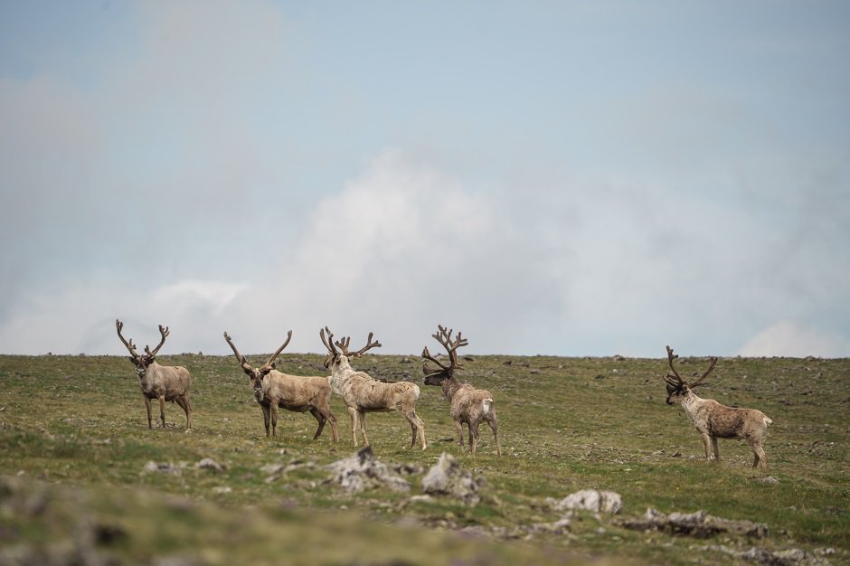 Фото фонда «Озеро Байкал»