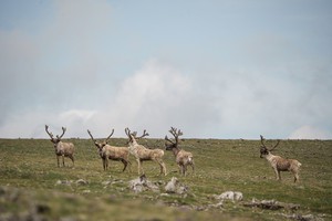 Фото фонда «Озеро Байкал»