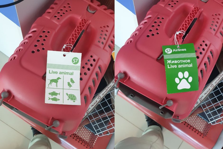 На переноске обычно закрепляют специальную бирку