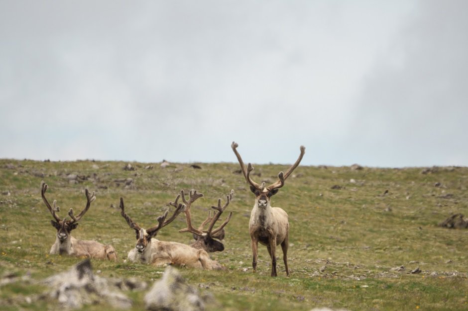 Фото фонда «Озеро Байкал»
