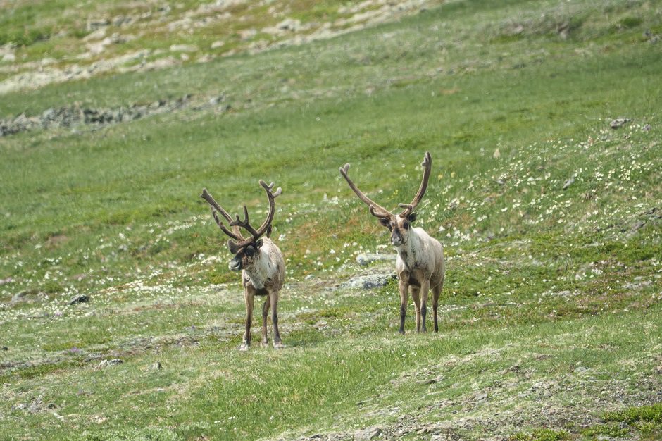 Фото фонда «Озеро Байкал»
